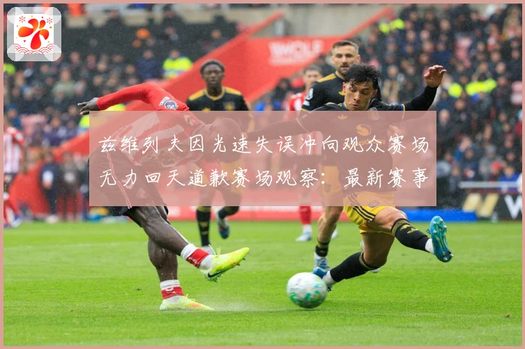 兹维列夫因光速失误冲向观众赛场无力回天道歉赛场观察：最新赛事动态与深度分析